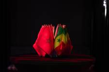 Thomas GIRONA - Graweee